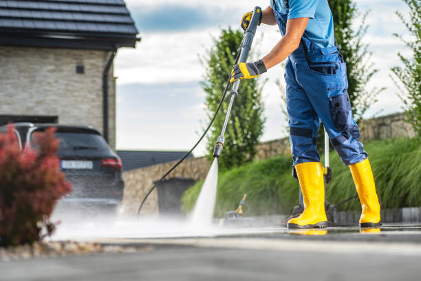 Best Soft Washing for Delicate Surfaces in Rouse, CA